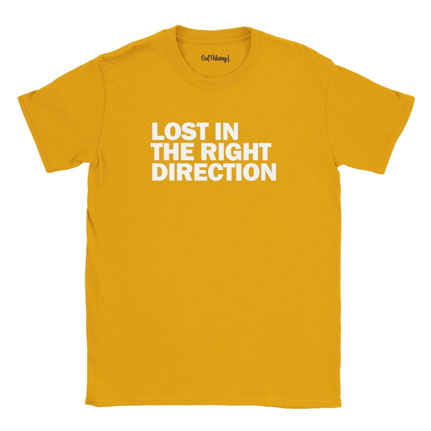 Lost In The Right Direction Walking & Hiking T Shirt